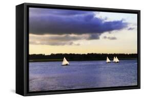 Sunfish Sailors I-Alan Hausenflock-Framed Stretched Canvas