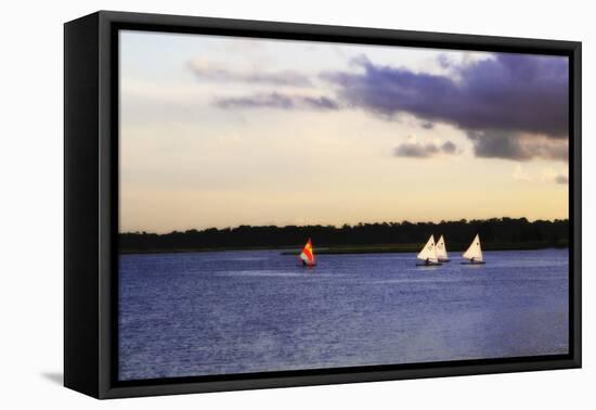 Sunfish Sailors II-Alan Hausenflock-Framed Stretched Canvas