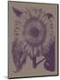Sunflower 14-Botanical Series-Mounted Art Print