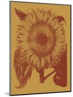 Sunflower 15-Botanical Series-Mounted Art Print