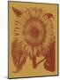 Sunflower 15-Botanical Series-Mounted Art Print
