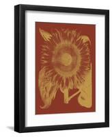 Sunflower 16-Botanical Series-Framed Art Print