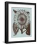 Sunflower 18-Botanical Series-Framed Art Print