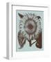 Sunflower 18-Botanical Series-Framed Art Print