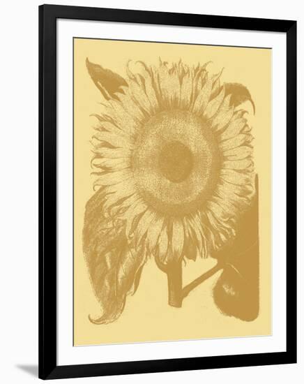 Sunflower 19-Botanical Series-Framed Giclee Print