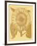 Sunflower 19-Botanical Series-Framed Giclee Print