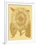 Sunflower 19-Botanical Series-Framed Giclee Print