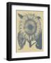 Sunflower 1-Botanical Series-Framed Art Print