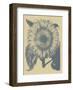 Sunflower 1-Botanical Series-Framed Art Print