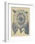 Sunflower 1-Botanical Series-Framed Art Print