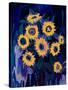 sunflower 1-Rabi Khan-Stretched Canvas