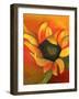 Sunflower, 2011-Nancy Moniz-Framed Giclee Print