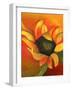 Sunflower, 2011-Nancy Moniz-Framed Giclee Print