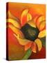 Sunflower, 2011-Nancy Moniz-Stretched Canvas