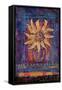 Sunflower, 2012-Margaret Coxall-Framed Stretched Canvas