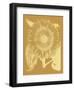 Sunflower 20-Botanical Series-Framed Art Print