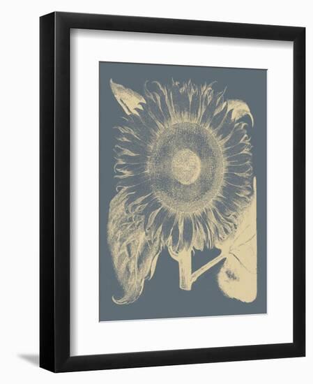 Sunflower 2-Botanical Series-Framed Art Print