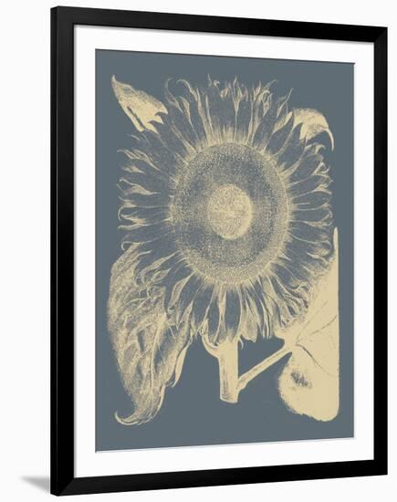 Sunflower 2-Botanical Series-Framed Giclee Print