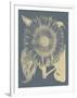 Sunflower 2-Botanical Series-Framed Giclee Print