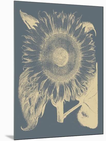 Sunflower 2-Botanical Series-Mounted Giclee Print