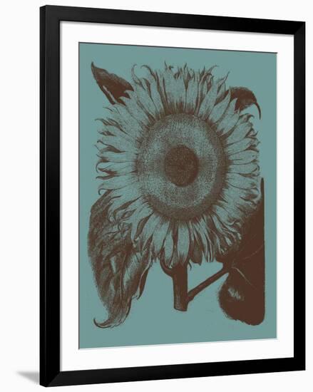 Sunflower 5-Botanical Series-Framed Art Print