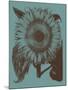 Sunflower 5-Botanical Series-Mounted Art Print