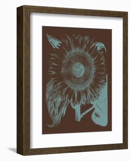 Sunflower 6-Botanical Series-Framed Art Print