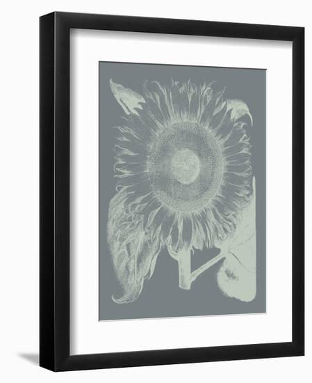 Sunflower 7-Botanical Series-Framed Art Print