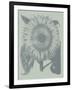 Sunflower 8-Botanical Series-Framed Art Print