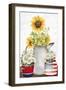 Sunflower American-Kimberly Allen-Framed Art Print