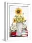 Sunflower American-Kimberly Allen-Framed Art Print