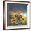 Sunflower And Bird-Ata Alishahi-Framed Giclee Print