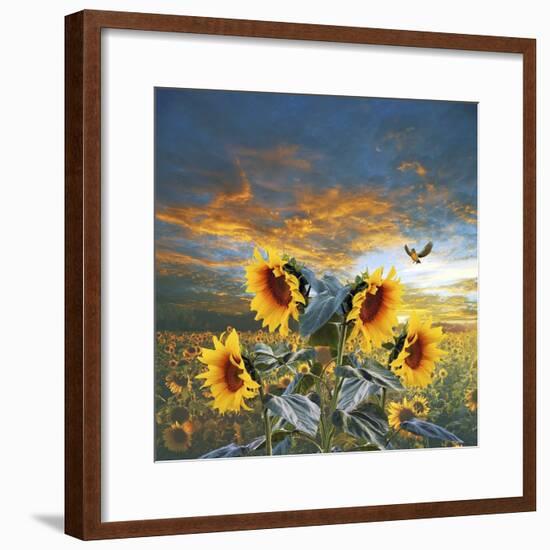 Sunflower And Bird-Ata Alishahi-Framed Giclee Print