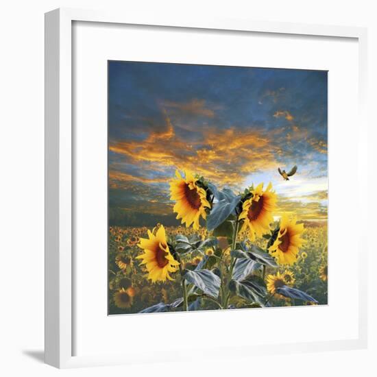 Sunflower And Bird-Ata Alishahi-Framed Giclee Print