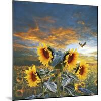 Sunflower And Bird-Ata Alishahi-Mounted Giclee Print