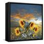 Sunflower And Bird-Ata Alishahi-Framed Stretched Canvas