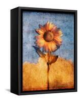 Sunflower and Sky-Colin Anderson-Framed Stretched Canvas