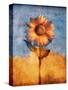 Sunflower and Sky-Colin Anderson-Stretched Canvas