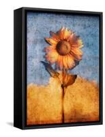 Sunflower and Sky-Colin Anderson-Framed Stretched Canvas