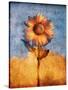 Sunflower and Sky-Colin Anderson-Stretched Canvas