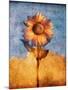 Sunflower and Sky-Colin Anderson-Mounted Photographic Print