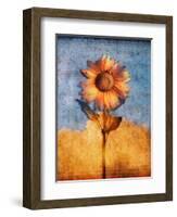 Sunflower and Sky-Colin Anderson-Framed Photographic Print