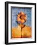 Sunflower and Sky-Colin Anderson-Framed Photographic Print