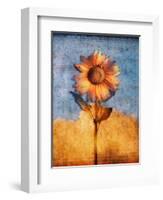 Sunflower and Sky-Colin Anderson-Framed Photographic Print