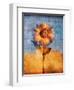 Sunflower and Sky-Colin Anderson-Framed Photographic Print