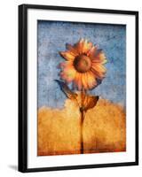 Sunflower and Sky-Colin Anderson-Framed Photographic Print