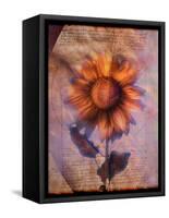 Sunflower and Text-Colin Anderson-Framed Stretched Canvas