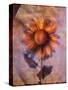 Sunflower and Text-Colin Anderson-Stretched Canvas