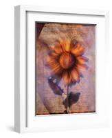 Sunflower and Text-Colin Anderson-Framed Photographic Print