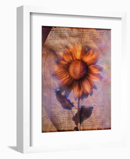 Sunflower and Text-Colin Anderson-Framed Photographic Print